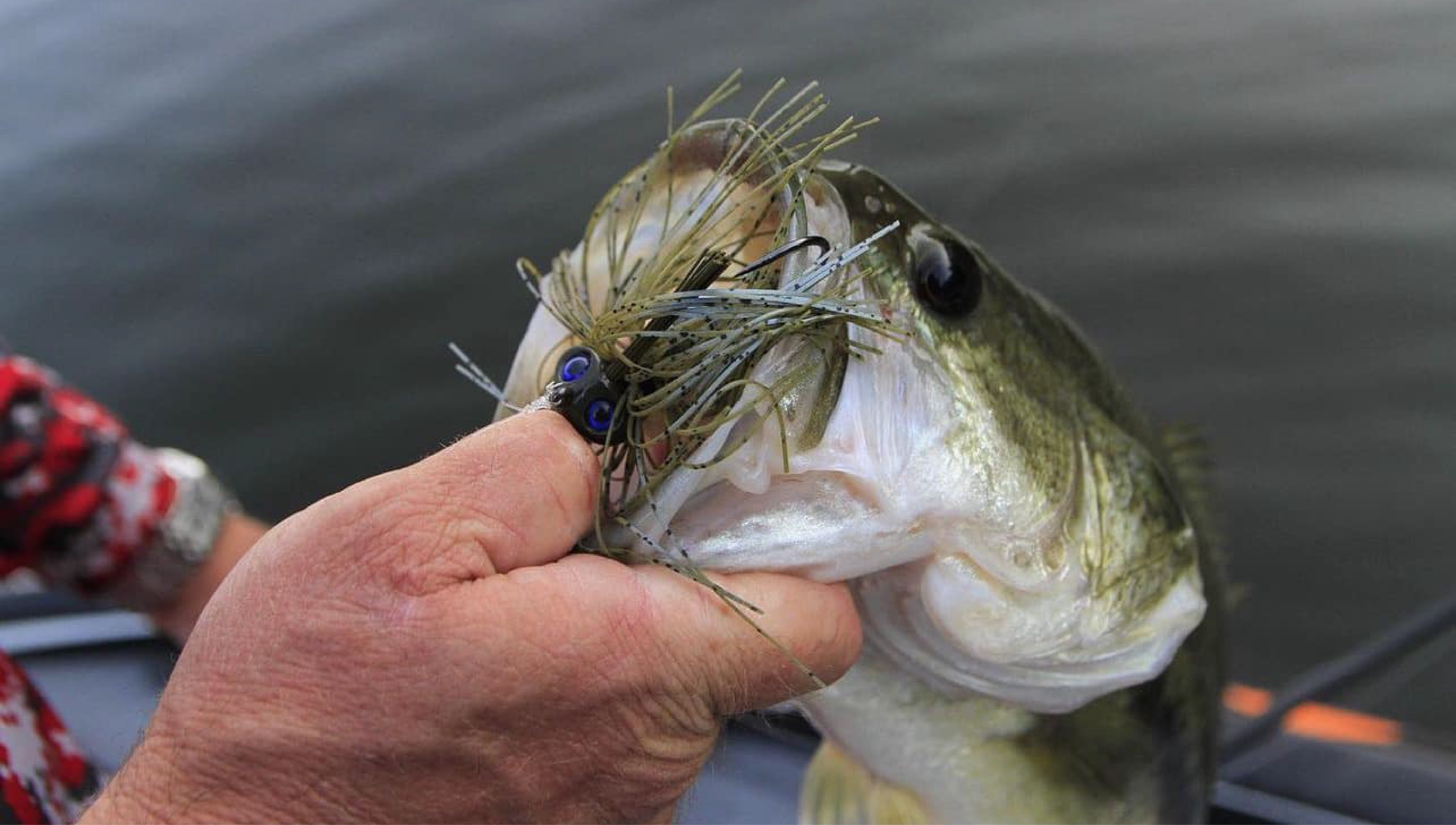 Epic Baits Fishing